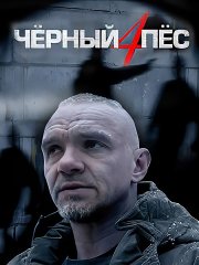 Черный пес 4 (2023)